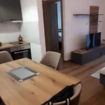 Apartman Vila Pekovic Blue 36A